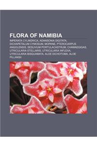 Flora of Namibia