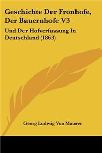 Geschichte Der Fronhofe, Der Bauernhofe V3