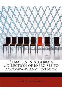 Examples in Algebra a Collection of Exercises to Accompany Any Textbook