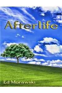 Afterlife