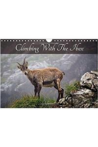Climbing with the Ibex 2017