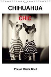 Chihuahua Chic Photos Marion Koell / UK-Verison 2017