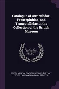 Catalogue of Auriculidae, Proserpinidae, and Truncatellidae in the Collection of the British Museum