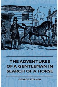 Adventures of a Gentleman in Search of a Horse