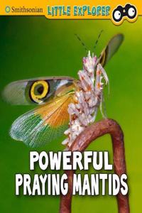 Powerful Praying Mantises