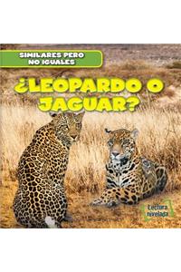 ¿Leopardo O Jaguar? (Leopard or Jaguar?)