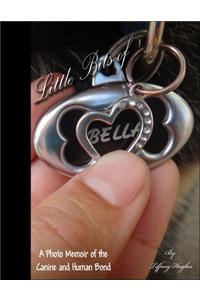 Little Bits of Bella Photo Book