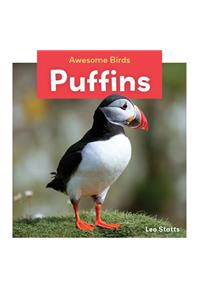 Puffins