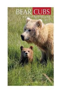 Bear Cubs Pocket Monthly Planner 2017