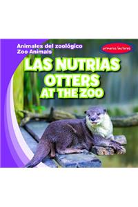 Las Nutrias / Otters at the Zoo
