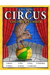 A Day At The Circus