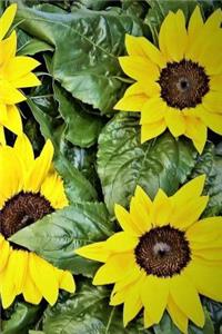 Happy Sunflowers Notebook