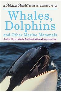 Whales, Dolphins, and Other Marine Mammals