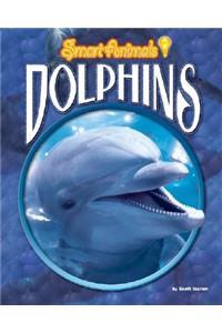 Dolphins