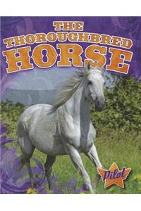 The Thoroughbred Horse
