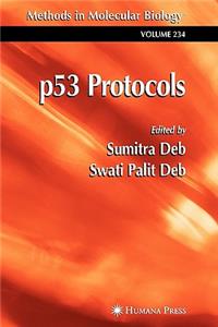 P53 Protocols