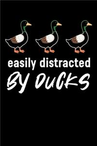 Easily Distracted By Ducks
