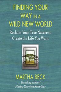 Finding Your Way in a Wild New World