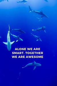 Alone We Are Smart Together We are Awesome