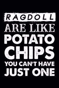 Ragdoll Are Like Potato Chips You Can't Have Just One