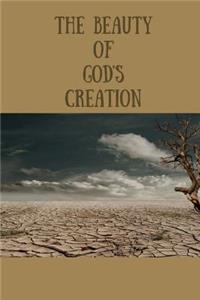 The Beauty Of GOD'S Creation