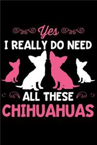 Yes I Really Do Need All These Chihuahuas