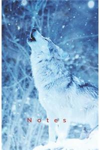 Notes