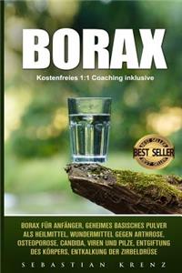 Borax: Borax Für Anfänger, Geheimes Basisches Pulver ALS Heilmittel, Wundermittel Gegen Arthrose, Osteoporose, Candida, Viren Und Pilze, Entgiftung Des Kör