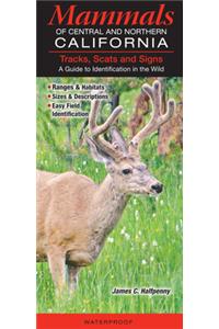 Mammals of Central & Northern California: Tracks, Scats and Signs a Guide to Identification in the Wild