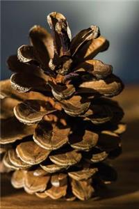 A Single Pinecone Portrait Journal