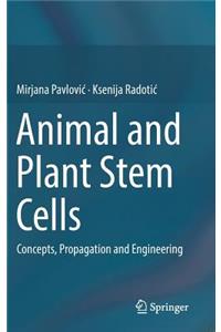 Animal and Plant Stem Cells