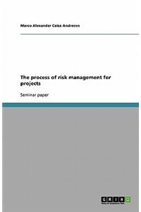 The process of risk management for projects