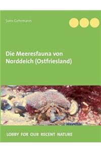 Die Meeresfauna von Norddeich (Ostfriesland)