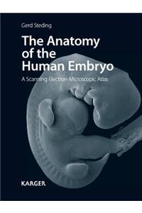 Anatomy of the Human Embryo: A Scanning Electron-Microscopic Atlas