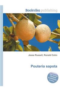 Pouteria Sapota