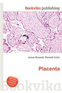 Placenta