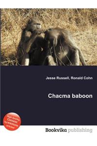 Chacma Baboon