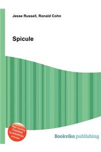 Spicule