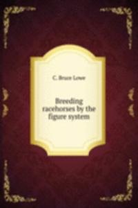 BREEDING RACEHORSES BY THE FIGURE SYSTE