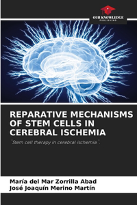 Reparative Mechanisms of Stem Cells in Cerebral Ischemia