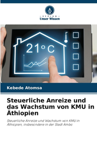 Steuerliche Anreize und das Wachstum von KMU in Äthiopien