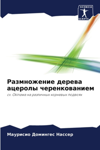 Размножение дерева ацеролы черенковани