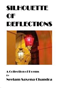Silhouette of Reflections