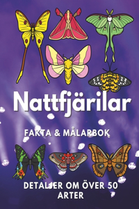 Nattfjärilar