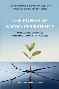 Power of Micro-Persistence