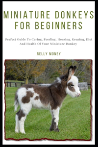 Miniature Donkeys For Beginners