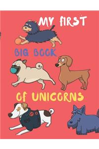 My First Big Book of Unicorns