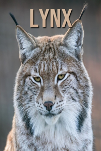 Lynx: Fun Learning Facts About Lynx