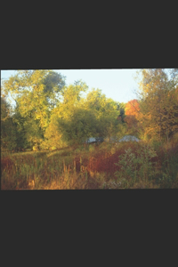 Three Stories in One