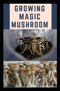 Growing Magic Mushroom